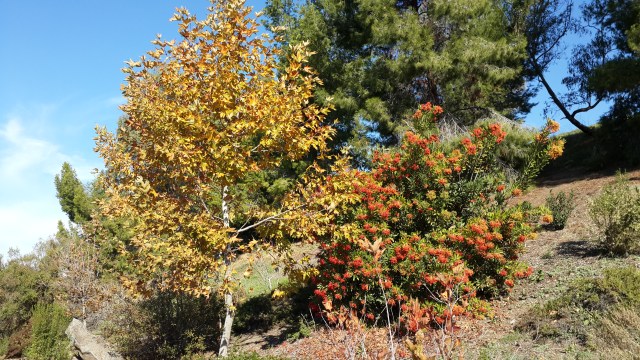 20151121_103514_Cunningham Ave