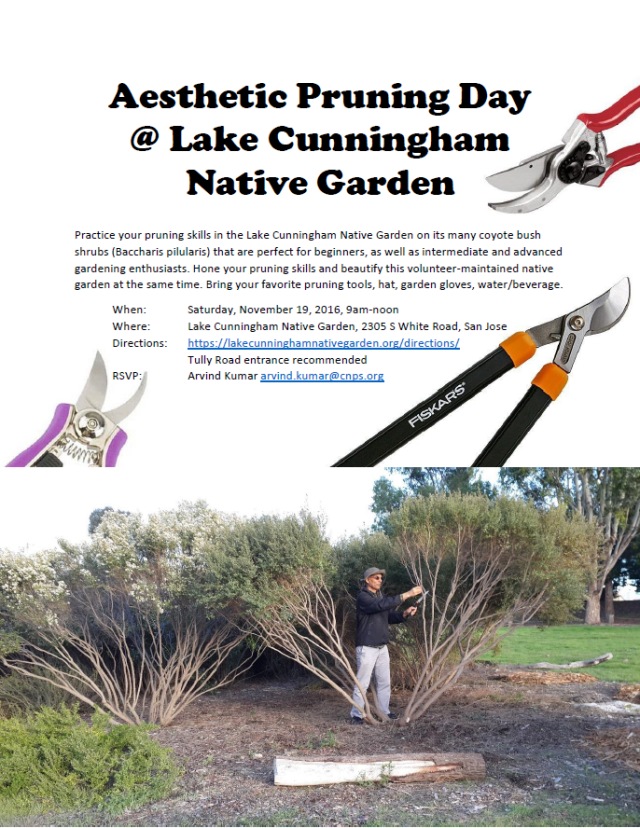 aestheticpruningdaylakecunninghampark