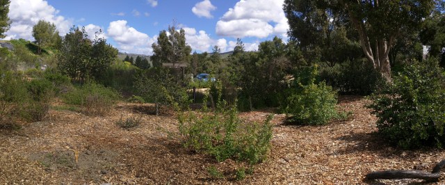 pano_20170304_121110