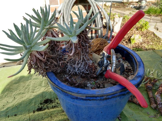 IMG_20190101_110724663_HDR