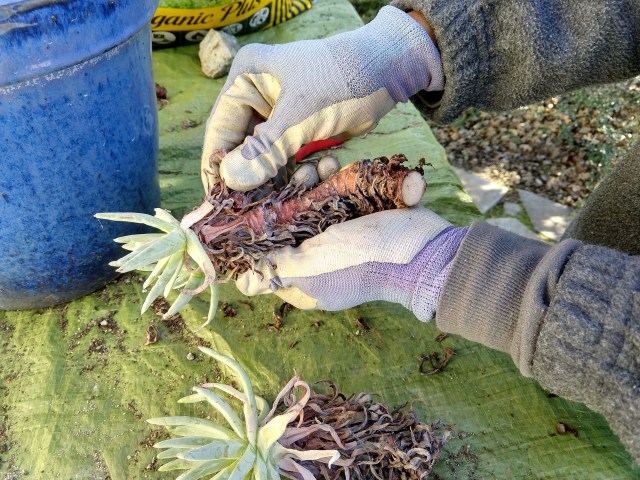 IMG_20190101_111124885_HDR