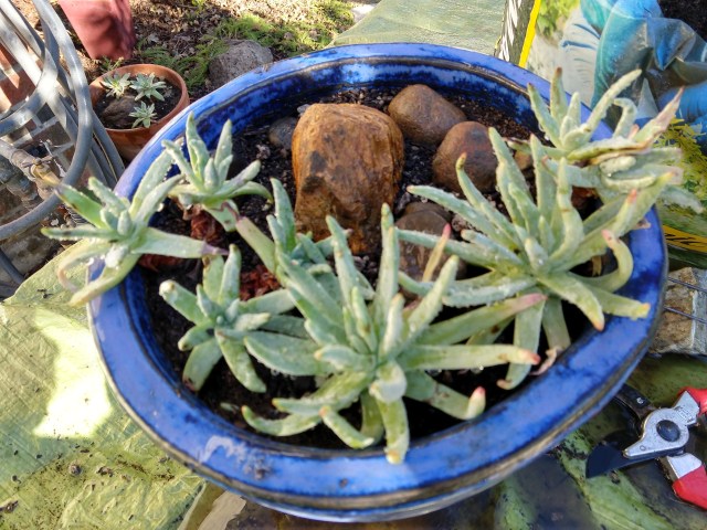 IMG_20190101_113527757_HDR